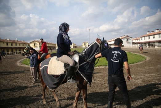 Suruç'un şampiyon atlarına "akademik" dokunuş