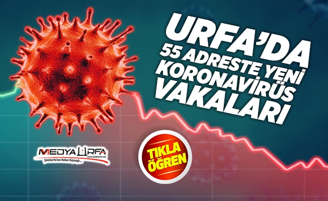 Urfa'da 55 adreste yeni koronavirüs vakaları