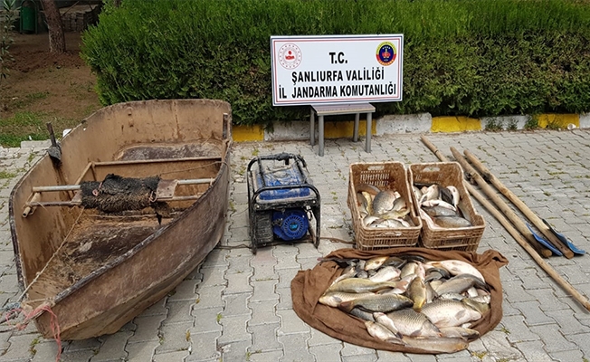 Jeneratörle balık avlayan 3 kişiye 18 bin lira ceza uygulandı