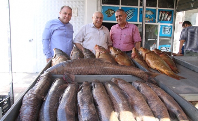 Büyükşehir’den Balıkçılara Tam Destek
