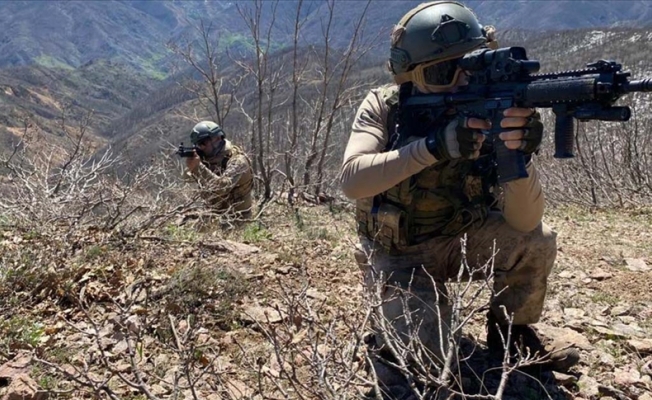 PKK'nın sözde 'eyalet' sorumlusu Urfa'da ele geçirildi