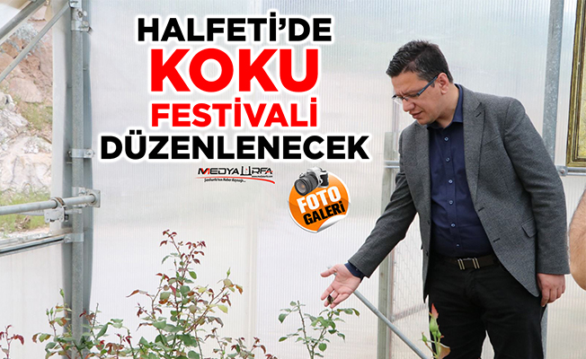 Halfeti'de Koku Festivali Düzenlenecek