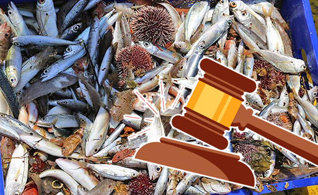 Şanlıurfa'da kaçak balık avlayanlara 6 bin 144 lira ceza