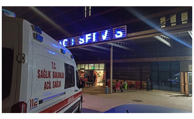 Şanlıurfa'da iki tırın çarpışması sonucu 2 kişi yaralandı