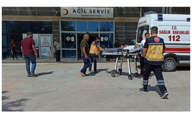 Şanlıurfa'da otomobil pamuk tarlasına devrildi: 5 yaralı