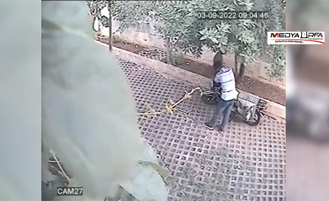 Şanlıurfa'da motosiklet hırsızlığı güvenlik kamerasında