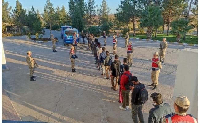 Şanlıurfa'da 24 düzensiz göçmen yakalandı