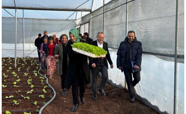 Başkan Çakmak, serada ilk sebze ürünlerinin ekimini yaptı