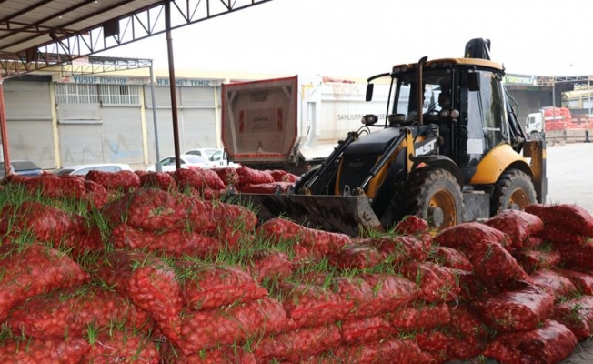 Şanlıurfa’da çürümüş 22 ton soğan imha edildi