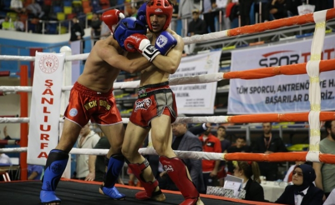 Türkiye Kick Boks Turnuvası Şanlıurfa'da sürüyor