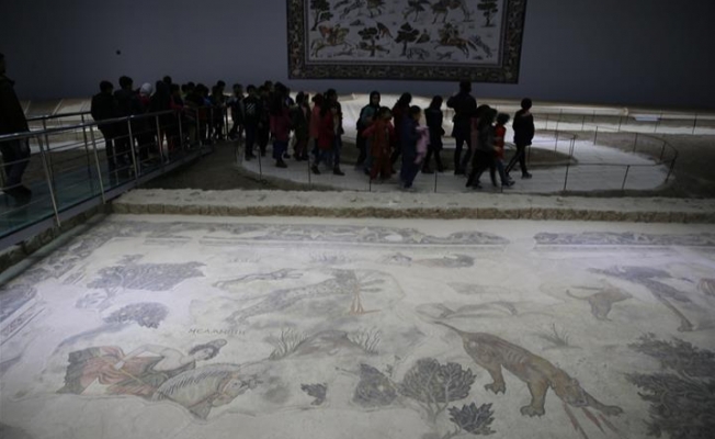 Amazon kadınlarının mozaikleri Şanlıurfa'da sergileniyor