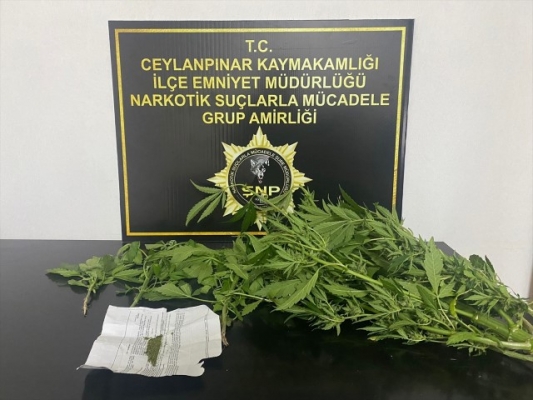 Şanlıurfa'da uyuşturucu operasyonunda 2 şüpheli yakalandı