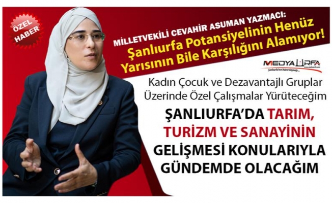 Milletvekili Cevahir Asuman Yazmacı'dan Şanlıurfa ile ilgili önemli açıklamalar