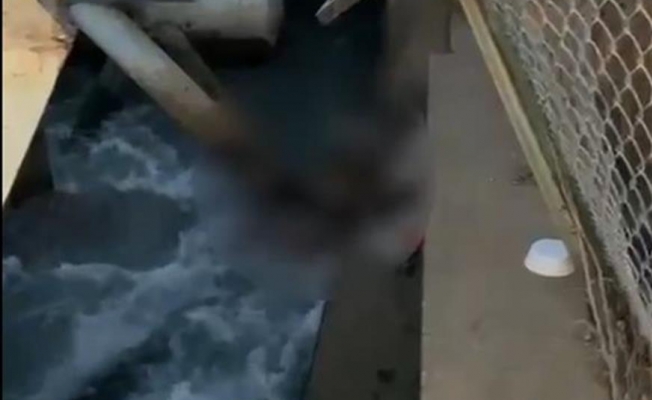 Şanlıurfa'da sulama kanalında ceset bulundu