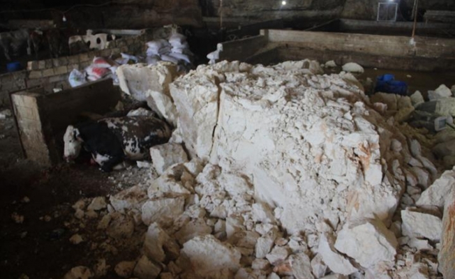 Şanlıurfa'da çöken mağarada bulunan 5 inek telef oldu