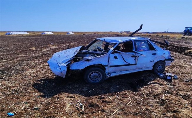 Şanlıurfa'da şarampole devrilen otomobilin sürücüsü yaralandı
